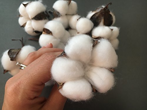10 pieces of natural and synthetic blend cotton bolls (balls) for wreaths, decor, off stick branches wired raw look white cotton branch picks