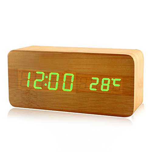 Timex T315SX Travel Alarm Clock Radio (Silver) B0001U2QM4