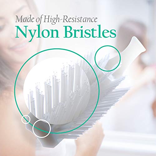 Stanley Home Products Essentials Ladies Hairbrush Durable Nylon Block & Bristles Premium