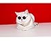 Stock Show Funny Cute Dog Cat Retro Fashion Sunglasses Mosaic Glasses Transparent Eye-wear Protection Puppy Cat Teacher Bachelor Cosplay Glasses Pet Photos Props for Small Dog, Black