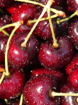 Stoneridge Orchards Montmorency Cherries 16 oz | Premium Whole Dried Tart Cherries | Non-GMO, Gluten Free, No… - Image 4