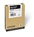 Epson T605100 UltraChrome K3 110ml Photo Black Cartridge (T605100)