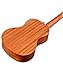 Protege by Cordoba U100CM Concert Ukulele (Amazon Exclusive) (Protégé by Cordoba U100CM)