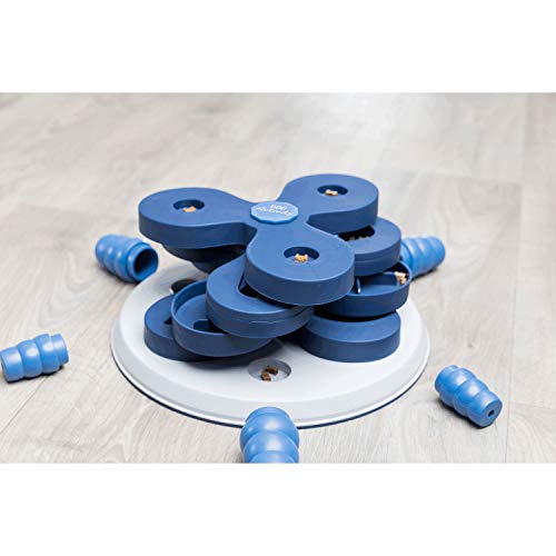 trixie dog activity level 3