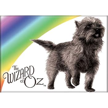 Ata-Boy Wizard of Oz Toto and Rainbow 2.5