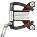 Powerbilt TPS X-Type Series M900 Putter (35