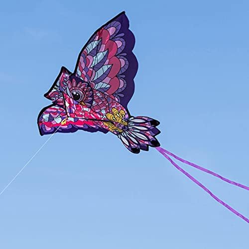 JOYIN 40'' Wide Giant Owl Kite Easy to Fly Huge Kites for Kids and