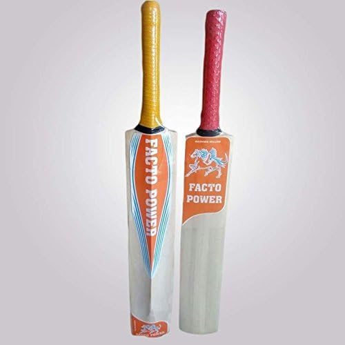 Facto Power popular willow cricket bat