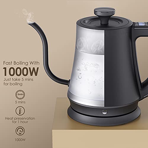 Gooseneck Electric Kettle with 6 Various Temperature Control, 100