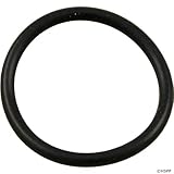 Hayward CX250Z7 O-RING STAR CLEAR