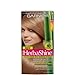 Garnier Herba Shine Hair Color Creme with Bamboo Extracts 810 Medium Ash Blonde (Pack of 3)