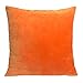 Sykting 18 x 18 Pillow Covers Set of 2 Square Cotton Super Soft Short Plush Light Orange