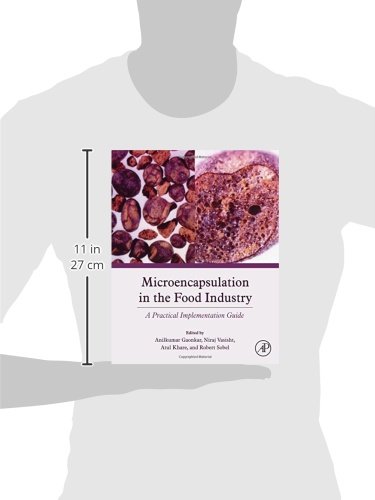 Microencapsulation in the Food Industry: A Practical Implementation Guide