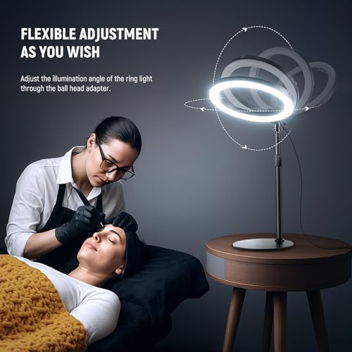 NEEWER 12" 24W High Power Desk Ring Light with Stand/Phone Holder, LED Selfie Video Conference Lighting for iPhone Streaming Makeup Vlog Recording Laptop Computer Webcam Zoom Call Podcast, RH12B