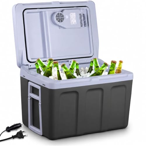 Arebos Elektrische Kühlbox 40L | 12V 230V für Auto & Steckdose | Kühlen & Warmhalten | mit Strom | ECO Modus | thermoelektrisch | Kühlbox Camping | au