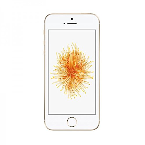 iPhone SE - 16GB (AT&T) - Gold (Certified Refurbished) ...