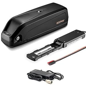 BESPOV Hailong E-Bike Li-ion Lithium Batterij Elektrische Fietsen 2A USB (36V15Ah)