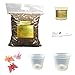 All Purpose Orchid Growing Starter Kit – Includes Instruction Sheetthumb 2