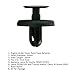 Lantee 50 Pcs Engine Under Cover Push-Type Retainer Car Clips Fasteners Replace 90467-07201 Fit for Lexus ES300/330 & Toyota Avalon, Camry & Solara 2002 - On