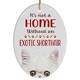 White Exotic Shorthair Cat Christmas Ornament 2024