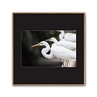 Framed Canvas Wall Art A Bird Standing on Canvas Prints Home Artwork Decoration for Living Room,Bedroom - 16x16 inches