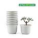 T4U 3.5 Inch Plastic Round succulent Plant Pot/Cactus Plant Pot Flower Pot/Container/Planter Package 1 Pack of 10
