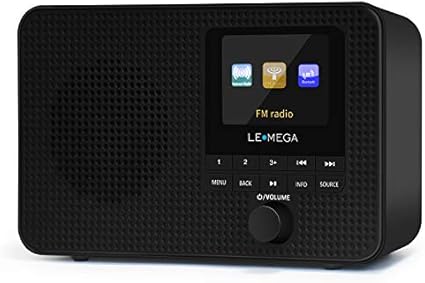 portable fm radio with bluetooth output