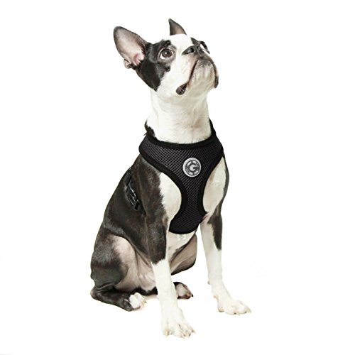 Gooby Soft Mesh Harness for Small Dogs, Medium, Black