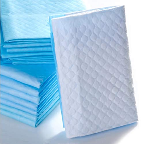 Ruiqas Pet Puppy Training Pads Thickened Piddle Absorbent Leak-Proof Urine Holder - 100Count