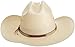 Stetson Men's Grant T Hat, Natural, 7 1/4