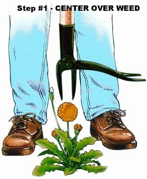 4 Grampas+Weeder+CW+01+Original+Remover