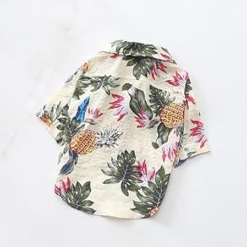 最も検索された 可愛い アロハ シャツ トップ新しい画像 最も検索された 可愛い アロハ シャツ トップ新しい画像