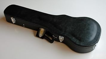 buy guitar case online