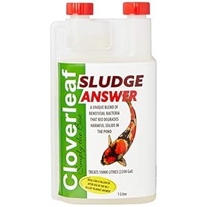 Cloverleaf-SA1-Sludge-Answer-Clear-1-Litre Cloverleaf Sludge Answer, 250 ml