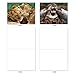 The Best Card Company - 10 Adorable Note Cards Blank (4 x 5.12 Inch) - Wildlife and Animal Cards, Assorted Boxed Kids Set - Animal Smackers M6594OCB