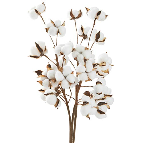 JOYPEA Cotton Stems - 6 Pack 10 Balls Per Stem - 23 Inch Farmhouse Display Filler-Foral Decoration - Thumbnail 7