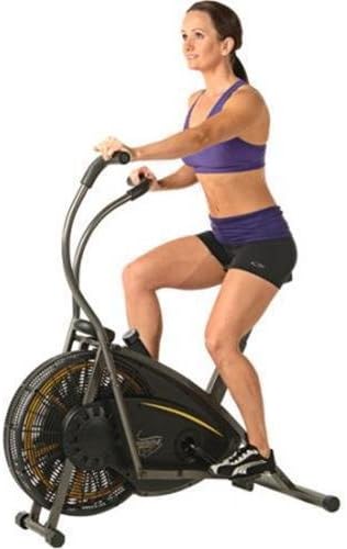 stamina air resistance exercise bike