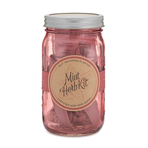 Indoor Herb Garden Starter Kit - Cocktail Inspired - Mint and Basil - 2 Self-Watering Herb Kits