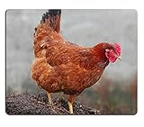 Mouse pad Gaming Mouse pad Chicken in The bio Farm