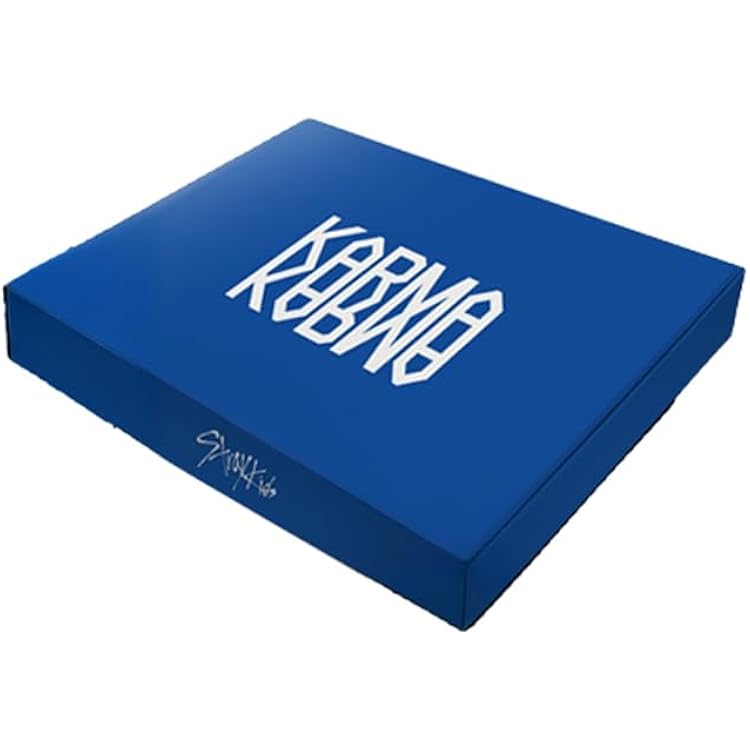 KARMA (Clear Sapphire Vinyl): Amazon.ca: Music