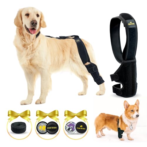 Mushie Ventures 4-in-1 Dog Knee Brace Bundle For Cruciate Ligament