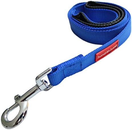 Padded Handle Nylon Dog Basic Leash for Large Dogs Medium Dogs, 1 Inch by 4 Feet, Blue