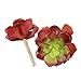 Greatflower Pack of 4 Single Artificial Succulent in different colors 4
