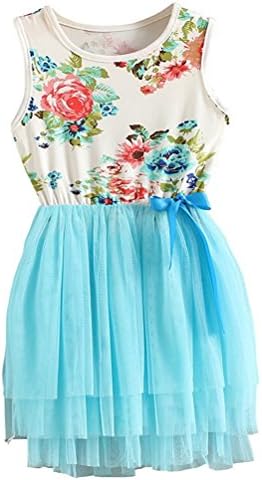 Nichna Little Girls Summer Sleeveless Floral Dress with Bowknot Tulle Tutu Sundress (3 Year, Blue)
