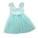 Elegant Feast Baby Girls Princess Lace Flower Tulle Tutu Gown Formal Party Dress (1-2 Years, Blue)