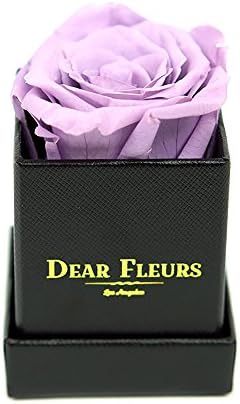 DearFleurs Handmade Preserved Flower Rose Box, Fresh Rose, Eternity Rose, Gift for Valentine's Day, Anniversary, Birthday (Lavender)