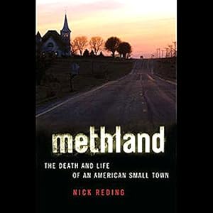 The Death and Life of an American Small Town - Nick Reding