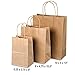 GSSUSA 150PCS Brown Paper Bags with Handles Gift Bags Assorted Sizes,5x3x8& 8x4.25x10& 10x5x13 50 Pcs Each,Kraft Paper Bags with Handles Bulk Gift Bags for Small Business,Merchandise Bags,Craft Bags