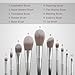 Stellaire Chern Makeup Brush Set, 10 Pcs Premium Synthetic Cosmetic Brushes, Foundation Blending Blush Powder Eye Shadow Make Up Brushes Kit - White & Black