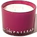Solas END of LINE Scented Candles: Large Glass - Natural Soy Wax Candle-Enjoy Aromatherapy with This Long Lasting 3 Wick Candle with Scents of BlackBerry, Redcurrant, and Grape of Scotland